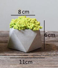 Load image into Gallery viewer, Succulent Flowerpot Mold Homemade Bonsai Cement Mold Silicone Mold Concrete Mold Custom Cement Silicone
