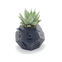 Load image into Gallery viewer, 3D Printed Plant Pot Table Top RPG Dice Succulent Planter Set Home Decoration Multifunction Garden Flower Pot
