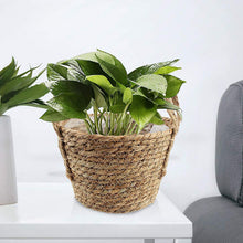 Load image into Gallery viewer, Desktop Decorative Plant Straw Flower Pot
