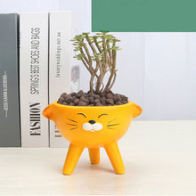 Load image into Gallery viewer, Simple Small Desktop Home Animal Flowerpot

