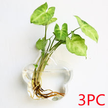 Load image into Gallery viewer, Fashion Wall Hanging Glass Flower Vase Terrarium Wall Fish Tank Aquarium Container Flower Planter Pots Home Garden Decoration
