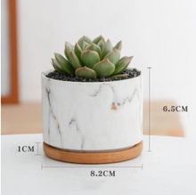 Load image into Gallery viewer, Straight Round Marble Ceramic Succulent Flower Pot
