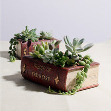 Load image into Gallery viewer, Vintage Literature Book Resin Succulent Plant Pot
