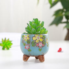 Load image into Gallery viewer, Hand Carved Ceramic Succulent Flower Pot

