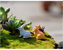 Load image into Gallery viewer, Moss Micro Landscape Decoration DIY Assembly
