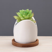 Load image into Gallery viewer, Succulent Pot Creative Cartoon Ceramic Flower Pots European-style Simple Indoor Desktop Pots For Plants Office Decor Planters
