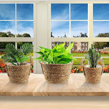 Load image into Gallery viewer, Desktop Decorative Plant Straw Flower Pot
