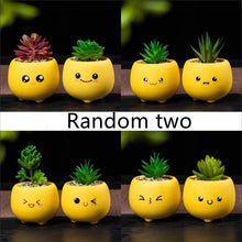 Load image into Gallery viewer, Ceramic Succulent Mini Flower Pot Set

