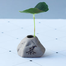 Load image into Gallery viewer, Office Desktop Imitated Stone Writing Thumb Floret Home Ceramic Succulent Flower Pot
